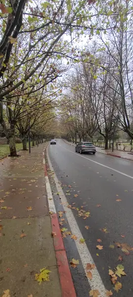 مدينة افران سويسرا المغرب  #الجزائر_تونس_المغرب #الجزائر🇩🇿 #ازرو_افران_مريرت_خنيفرة_أجلموس_الحاجب #شعب_الصيني_ماله_حل #افران 