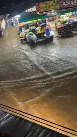 #birkhadem  #elhamla 