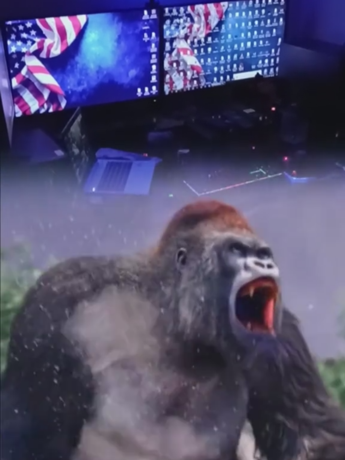 #velikakladuša  @damirkajtazovic  @celavi.komsija