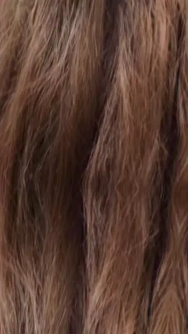 🐍عندي رح يخلص مشوارك #fyp #capcut #trending 