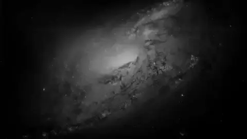 مكروه؛.  #bts #foryou #لـِيـُون 