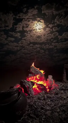 شوف الدنيا تسوه ؟؟! الشيخ الوائلي رحمه الله#قصائد_حسينية #الشيعة #باسم_الكربلائي #foryou 