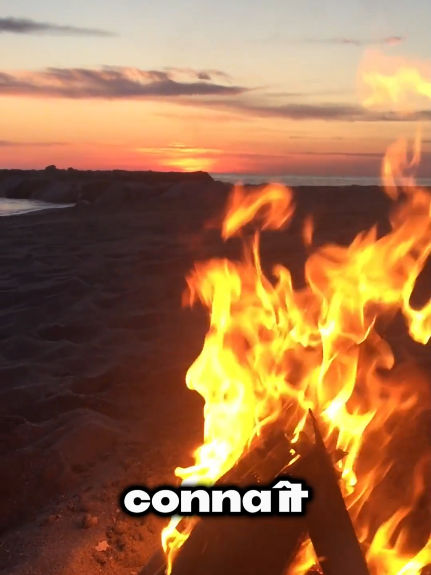 Le Soleil n’est pas en feu Ce que tu vois, ce ne sont pas des flammes comme celles qu’on connaît sur Terre. Le feu, ici-bas, brûle grâce à l’oxygène. Mais dans l’espace… il n’y a pas d’air. Aucune combustion possible. Alors, si le Soleil ne brûle pas, qu’est-ce qui le fait briller ? Tout commence en son cœur, un endroit si dense, si écrasant, que la gravité y est inimaginable. Les atomes d’hydrogène y sont compressés à des pressions extrêmes, jusqu’à ce qu’ils fusionnent entre eux pour former de l’hélium. Ce phénomène, on l’appelle la fusion nucléaire. Et à chaque fusion, une quantité gigantesque d’énergie est libérée — de la lumière, de la chaleur, des particules. C’est ça, la “flamme” du Soleil. Pas un feu… mais une réaction nucléaire constante. Cette énergie met ensuite un temps fou à remonter jusqu’à la surface. Les photons créés dans le cœur peuvent mettre plus de 100 000 ans à traverser toutes les couches internes de l’étoile. Et une fois libres, ils parcourent l’espace à la vitesse de la lumière, atteignant la Terre en seulement 8 minutes. Autrement dit, la lumière du Soleil que tu vois en ce moment… a été créée il y a des milliers d’années. Le Soleil n’est pas une boule de feu, c’est un océan de plasma en fusion, où l’hydrogène devient hélium, où la matière devient énergie, et où, chaque seconde, la vie trouve sa source. Si tu as aimé cette vidéo n'hésite pas a t'abonner ça coute rien. #espace #galaxie #univers #cosmos #astronomie #cosmologie #Science #apprendre #soleil #sciencefacts #fand'espace