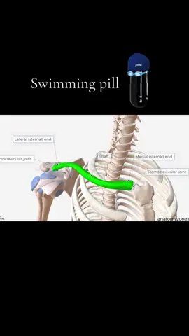 Swimming pill, are swimmers born with wide clavicles or do they become larger because of swimming 🤔. #bp #swimmeme #clavicles #framepill #swimmer 