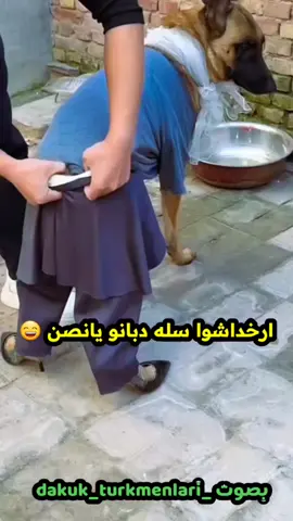 #داقوق #داقوق_مدينتي #داقوق_مدينتي❤️🦅 #كركوك_محافظه #كركوك 