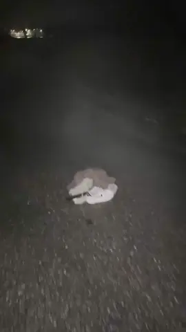 Es war der wind glaub ich