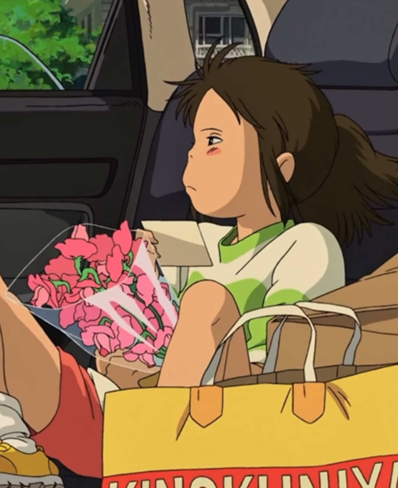 Studio Ghibli #studioghibli #stvlightss #hayaomiyazaki 