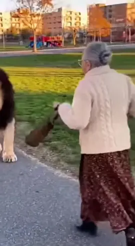 Nadie molesta a dueña María 😂 #fypシ #viral #fyp #video #shorts 