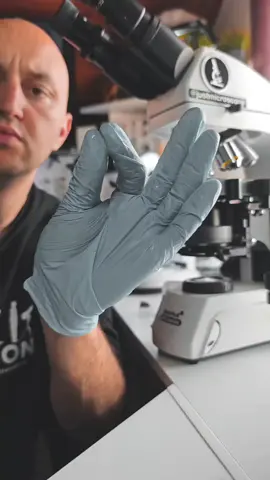 I USE 🔬 #LEVENHUK MED 45D link in my bio @Четыре глаза 