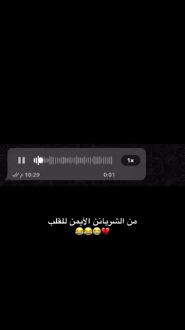 #جازان #احد_المسارحة_صامطة #العارضة #الشعب_الصيني_ماله_حل😂😂 #علي_العريبي 