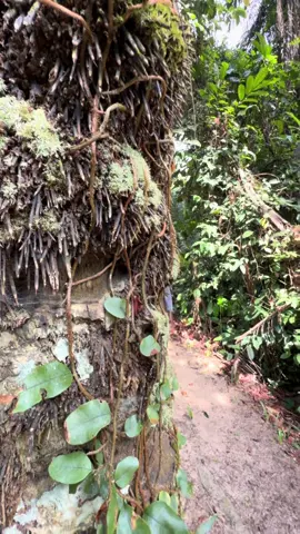 #fyppppppppppppppppppppppp #funny #video #fypシ゚ 