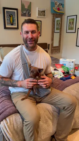 #Ad Isn’t Stacey the sweetest? If you’re bringing home a new puppy (or any dog!) this holiday season, you need to be prepared. Whenever we bring in a dog like Stacey, we make sure to hit @Petco to stock up on the essentials including chew toys for teething, potty pads for accidents and well-fitting collars and leashes. Please join us in welcoming sweet Stacey! #petco