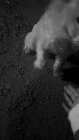 فكها يا ابن الحلال جتك بالغلط #explor 