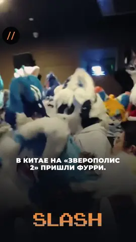 Оформи подписку на SLASH #новости #молдова  #news #zootopia #зверополис