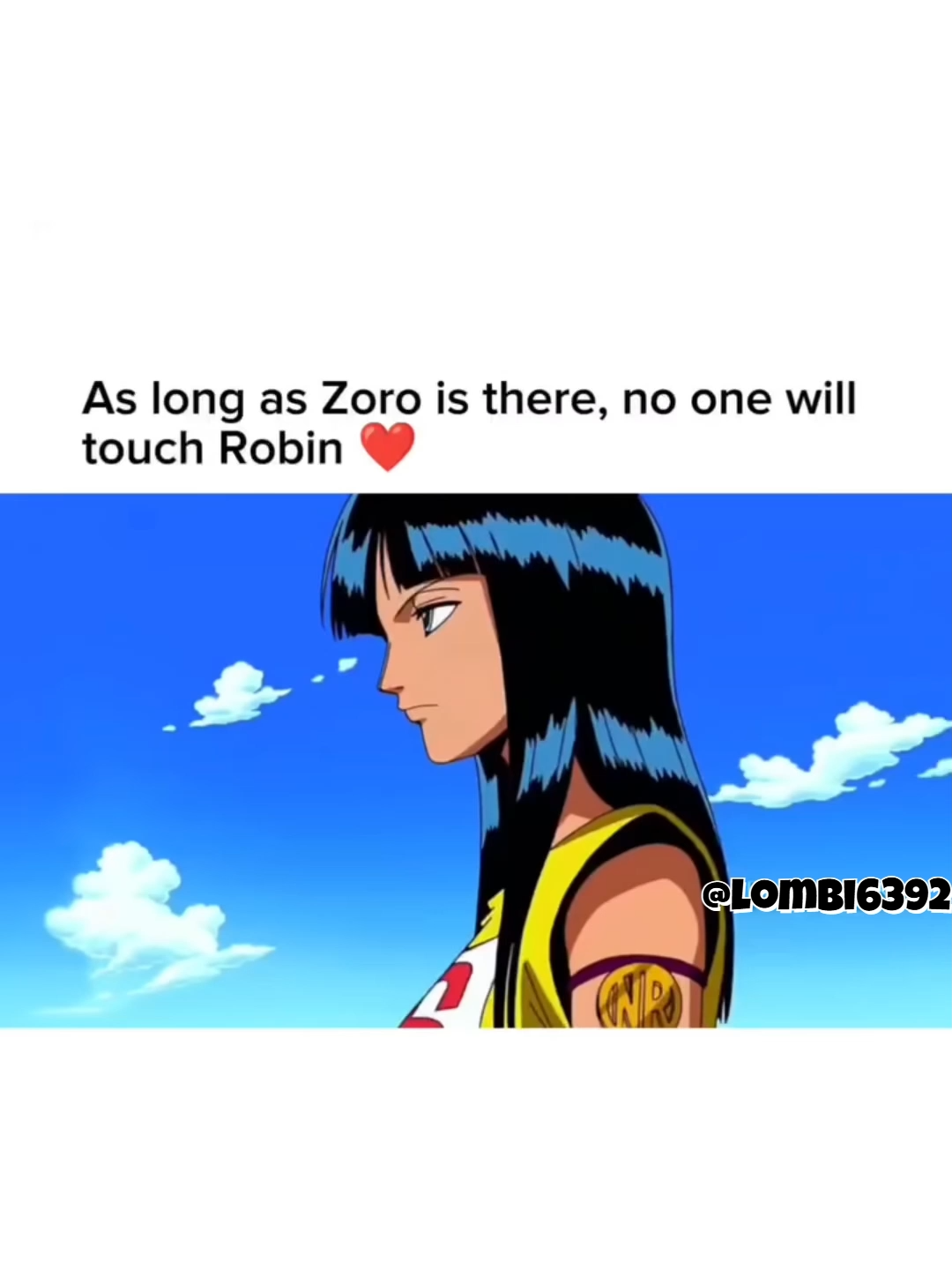 Zoro x Robin#onepiece #tik_tok #animefyp #onepieceedit #monkeydluffy #monkey #d #luffy #fyp #foru #foryoupage❤️❤️ #animeclips #aura #for #you #page #fouryourpage #japan #shonen #animefypシ #roronoazoro #zoro #nicorobin
