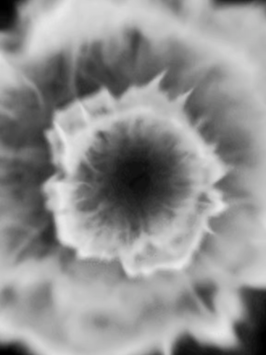 #13جمادى_الاخر_استشهاد_ام_الببنين #عظم_الله_اجورنا_واجوركم_بهذا_المصاب 