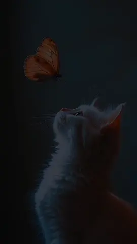 #عبدالله_احمد_شعبان🖤🎧 #عبدالله_احمد_شعبان #قران_كريم #قوالب_قران_كريم #عبدالله_احمد_شعبان 