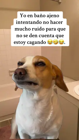 Nature calls  😂😂😂 #fyppppppppppppppppppppppp #paratiiiiiiiiiiiiiiiiiiiiiiiiiiiiiii #paratii #fypシ #fyp 