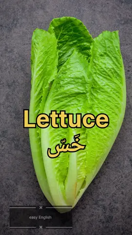 #تعلم_اللغة_الانجليزية 