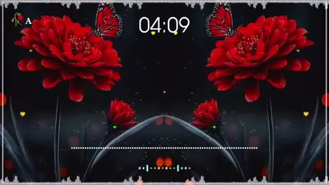 #حه_زماحنځولی_اوړڪی_لاړل_تشڪیلونه_ڪړی #🥀🦋🥀 #You_are_not_a_Kurdis #cctovideonotminevide🌹 #cctovideonotmine🌸 