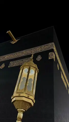 @🌚🤍 #گوهداربـــــــــــە🤍 😔🤍…