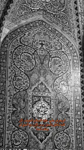 السلام عليك يا نور الله في أرضه #النجف #مرقد_الامام_علي_عليه_السلام #شجاعه_الامام_علي #الامام_علي_بن_أبي_طالب_؏💙🔥 #الشعب_الصيني_ماله_حل😂😂 