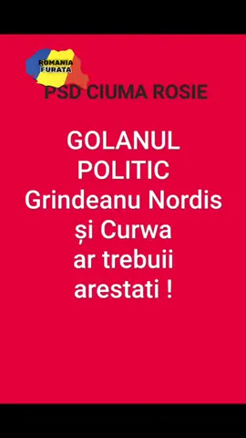 GRINDEANU NORDIS.CAPUL MAFIEI PSD.CIUMA ROSIE.