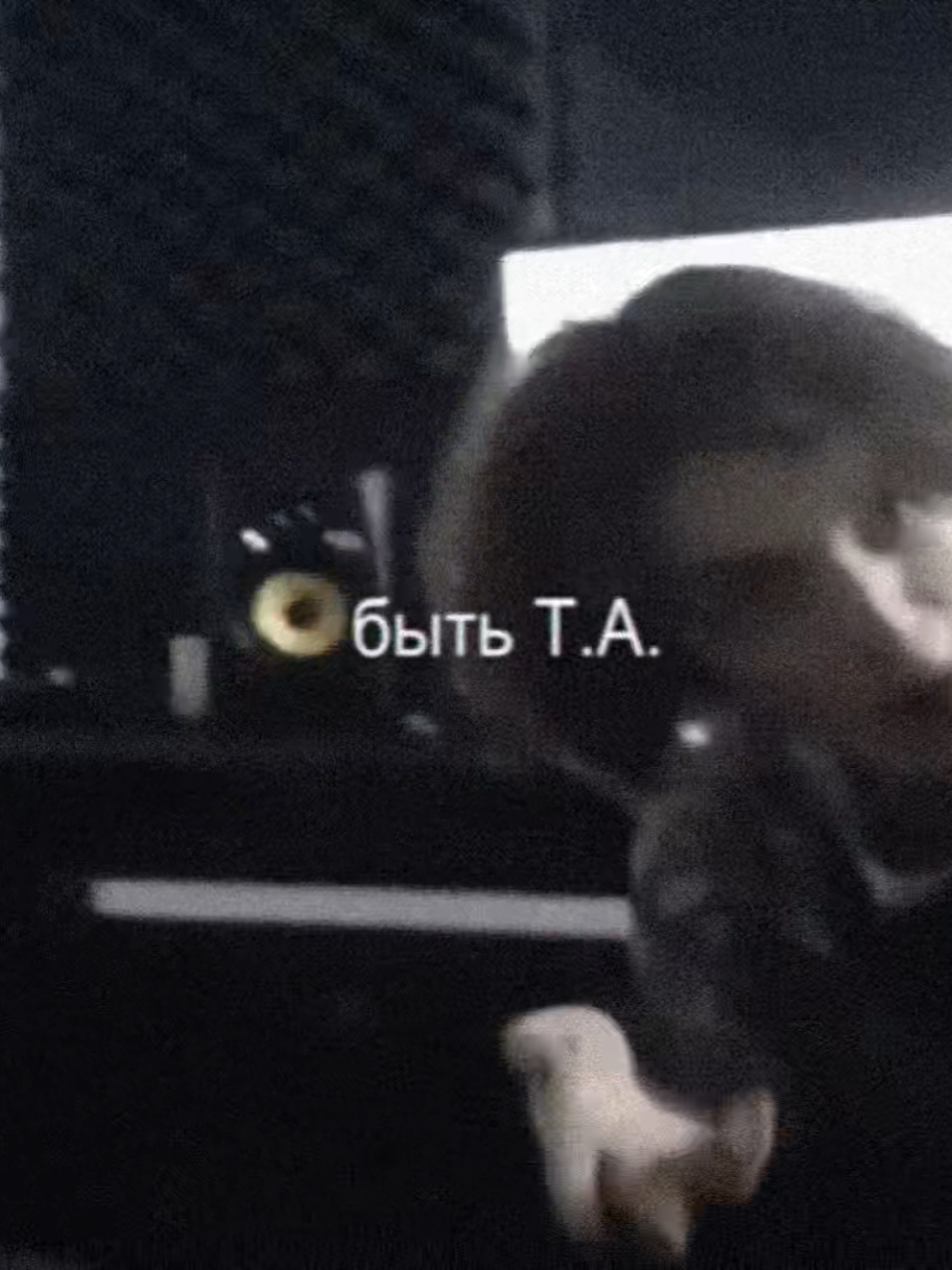 онаааа она она хочет хочет быть т.а. #slowed #reverb #трэпп #тайнаяагентка #янгтреппа #yungtrappa812 #trappa #ymb #глобальныерек #звук #футаж #recommendations #music #song 