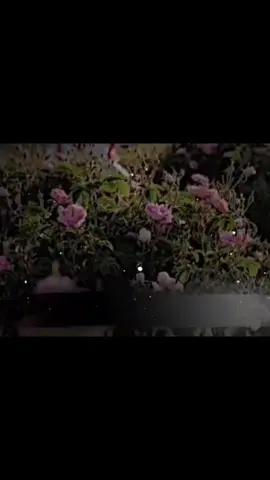 #onthisday #quran #ماموستاكامةران_كةريم 