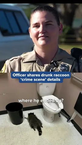 The animal protection officer who first discovered the raccoon that broke into a Virginia liquor store and later passed out drunk next to the toilet shares exclusive crime scene details. 😆