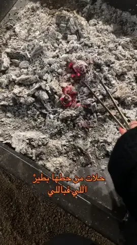 ايواالله 🤌🏻(الفيد مو لي )#fyp #tiktok #trend #اكسبلور #foryoupage 