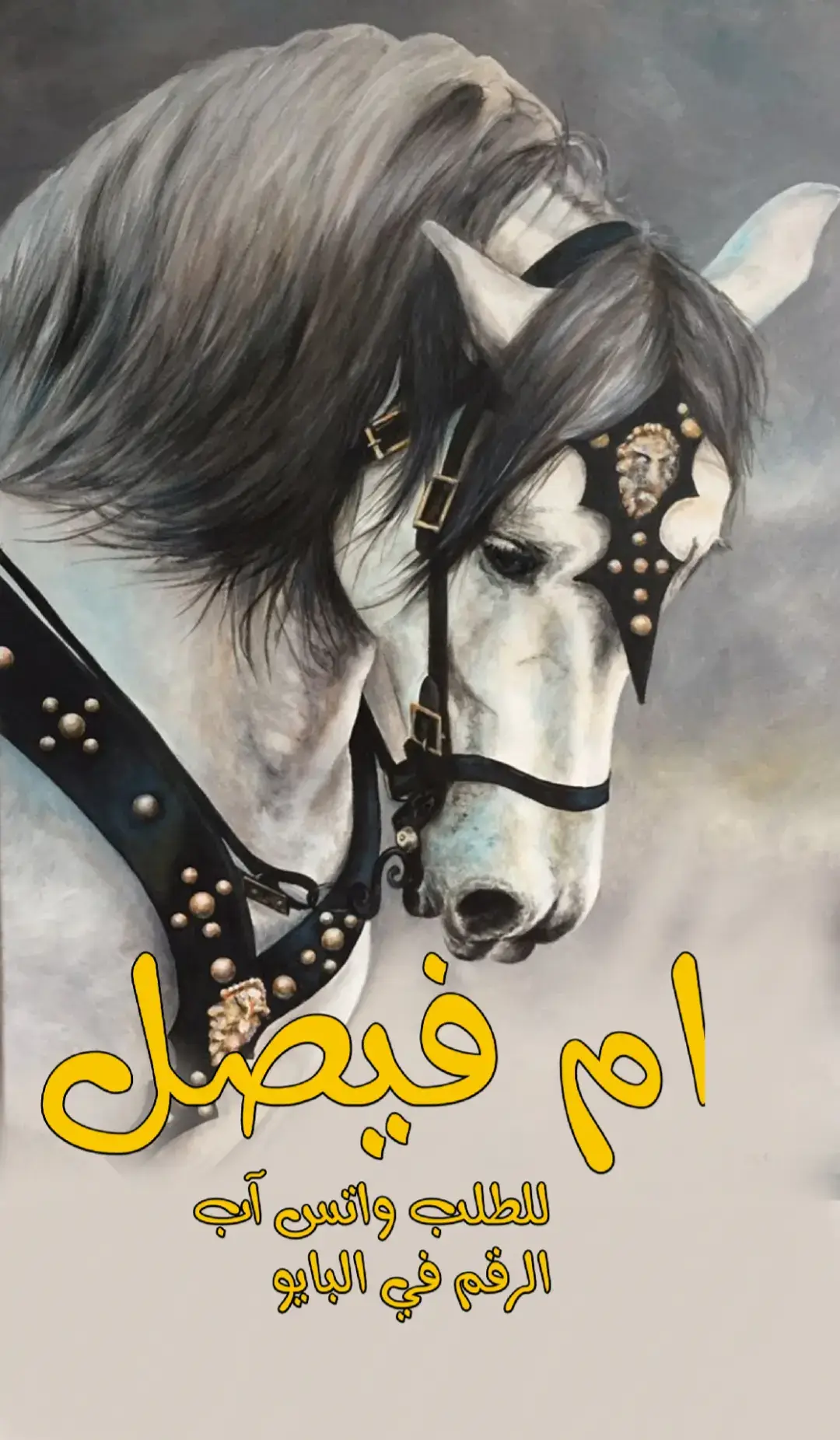 شيله وجودك يم فيصل يعطي الحفل اهميه #مجانيه بدون حقوق #شيلات وجودك يم فيصل يعطي الحفل اهميه حماسيه طرب  #tiktok  #foryou  #fyp  شيلات_وجودك_يم_فيصل_يعطي_الحفل_اهميه_حماسيه_طرب