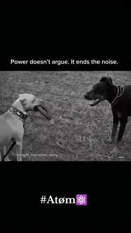 #lifelesson #positivity #Atøm⚛️ #successmotivation 