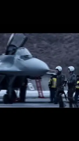 Polish Mig-29🔥🔥 #fyp #mig29 #dc 