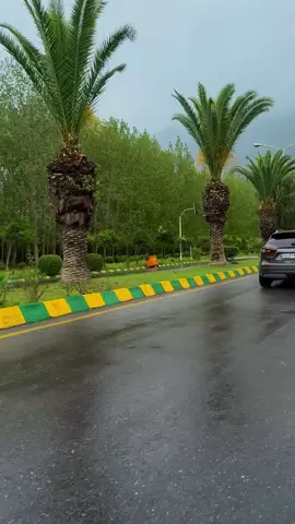 يانور البكلبي .!#باسم_الكربلائي #foryoupage #fyp #foryou #viral 