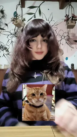 último y pa dejar inactividad sjjs#cat#xdd#mondongo