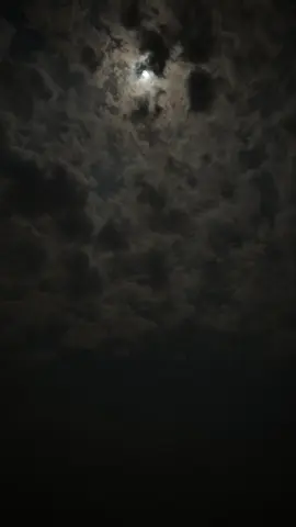 #creatorsearchinsights #comedy#trending#duet#tiktokchallenge#