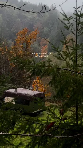 all I need.. 🖤🌧️🌲 #vanlife #slowliving #cozyvibes #forestcore #darkaesthetic #simplelife #oregon #pnw #rainyweather 