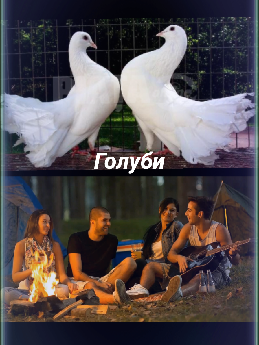 Дворовая песня Голуби муз. Е.Коновалова,сл.Н.Соловьевой#дымкостра #теплокостра #настроение #добрыйвечер #укостра