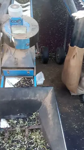 #bohmid❤️ #الحمدلله_دائماً_وابداً #الرجال #قلوب_مجروحة💔🥀 #ربي_يدخلك_الجنة_ويحقق_امنياتك 