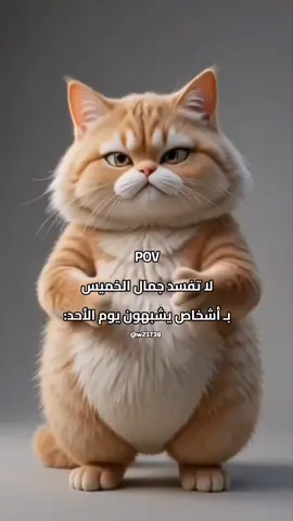 🙂😂👌 #pov #ويكند #يوم_الخميس #اكسبلورexplore #الانتشارالسريع 