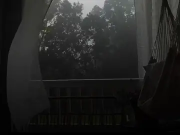 wildflower wildfire #lanadelrey #vaiprofycaramba #foryoupage #fyp 