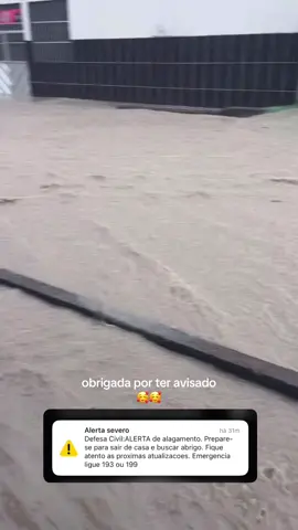 meu país manaus