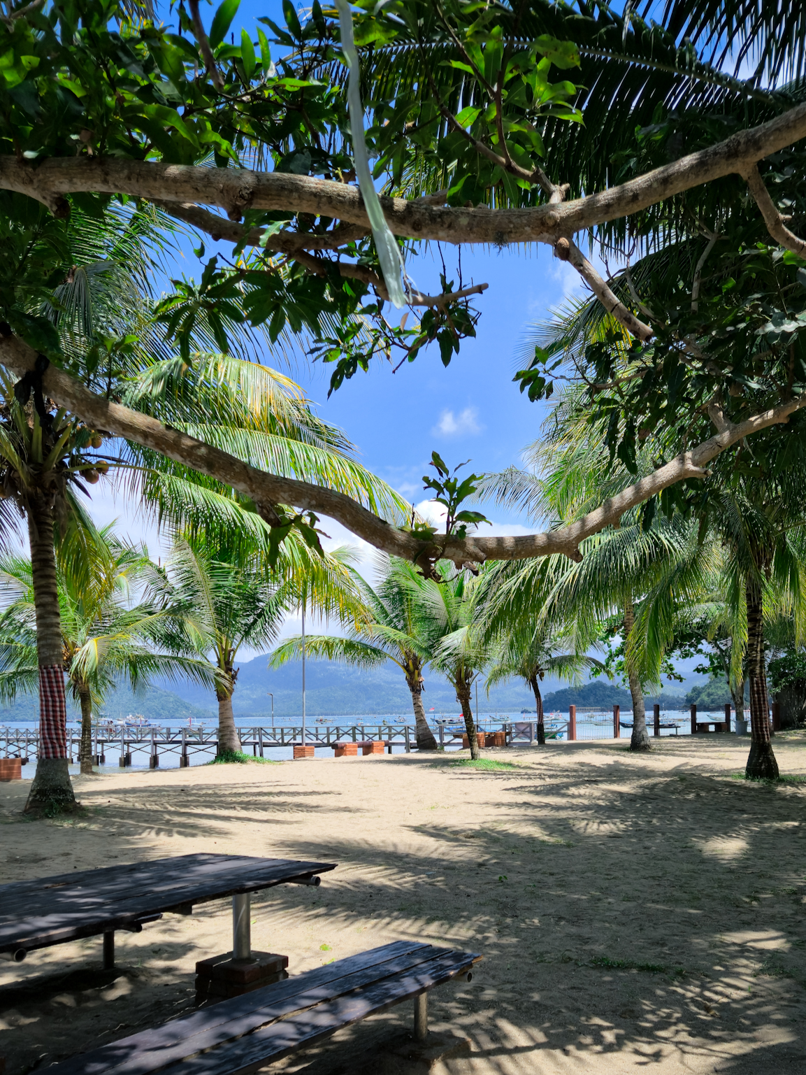 Pondok Prigi Pantai Karanggongso #pondokprigi #rekomendasi #pantaipasirputih #pantaikaranggongso #trenggalek #vibes #wisatapantai #bahanstory #piknik #healing