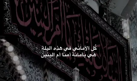 يا أم البنين  .  .  .  .  .  #fypシ #كربلاء #yyyyyyyyyyyyyyyyyyyyyyyyyyyyyy 