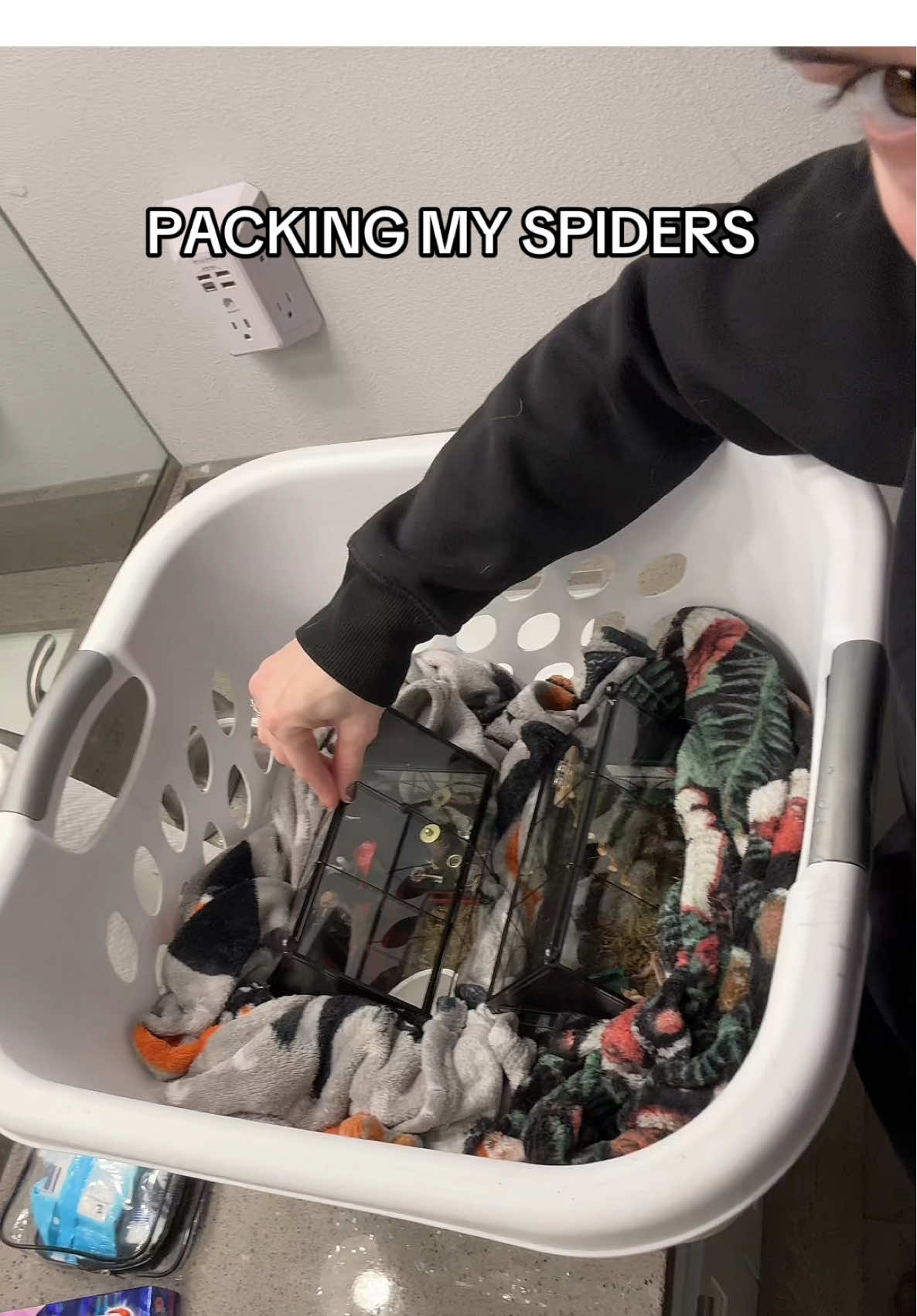 @Nicholas Braham has a car full of our animals on the way to AZ lol #mysteryjewlerygirl #fyp #movingvlog #packing #animals 