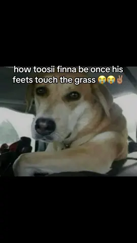 i’m onna stage rn 🫩 | #fyp #toosii #cfb #syracuse #trending 