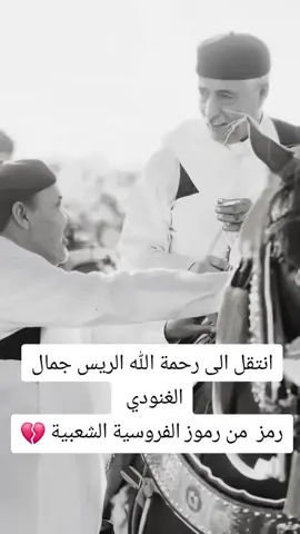 #المرازيق #فرسان #الفارس #طرابلس #ليبيا 