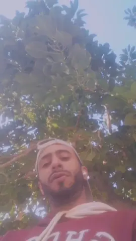 ✌️🤍🤲#tounes🇹🇳 #egypt🇪🇬 #italiya🇮🇹 #france🇫🇷 #almaniya🇩🇪 