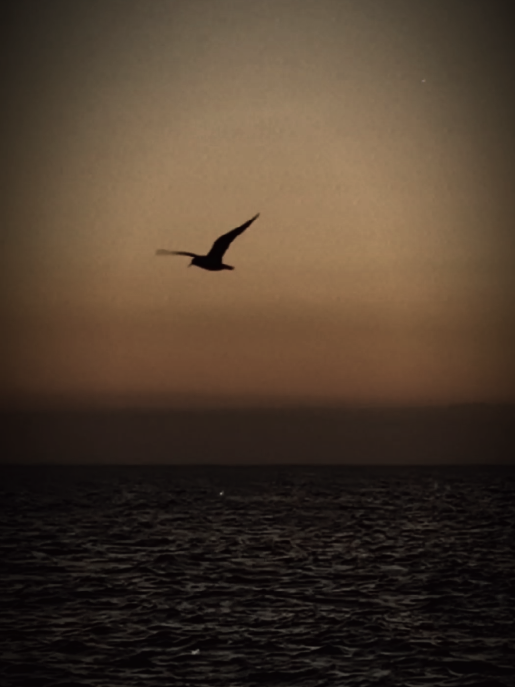 #عمرو_حسن #تصويري_احترافي_الاجواء👌🏻🕊😴 #تصويري📸 #foryoupage❤️❤️ #explore 